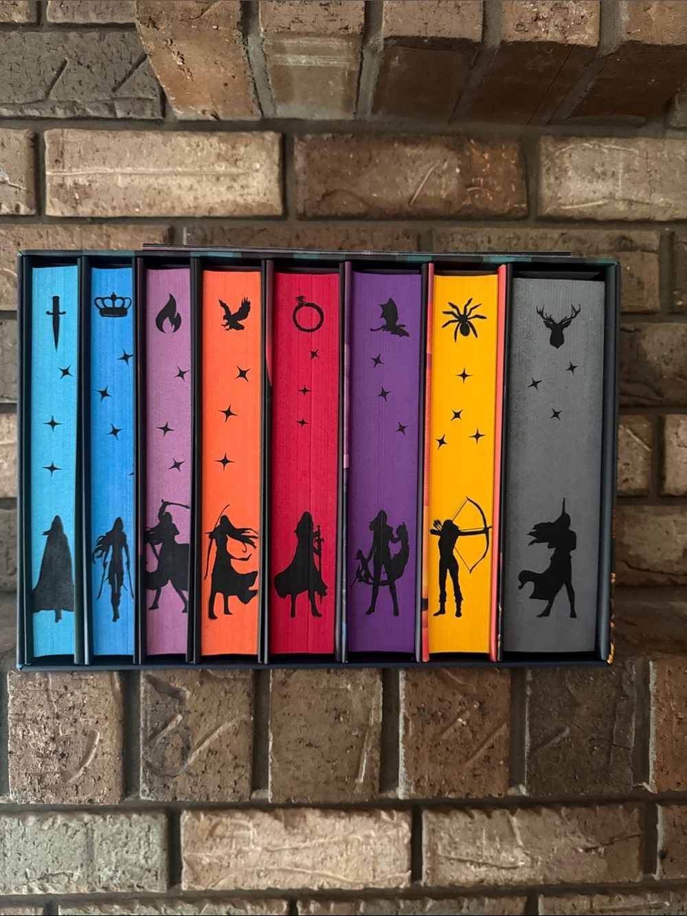 Throne of Glass Hardcover Box Set - custom painted